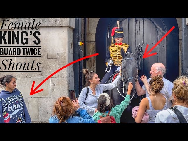 This King’s Guard Act of Kindness for Tourists | Multiple Happenings in THIS video