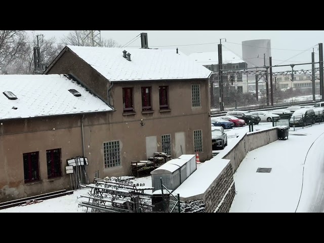 Satisfying snowfall 1 hour | snowflakes falling silently feel it deep inside.