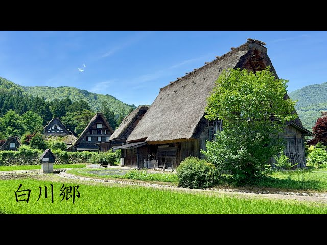 Shirakawa-go, The Most Beautiful Village in Japan Walking Tour Japanese Countryside Gifu | 4K