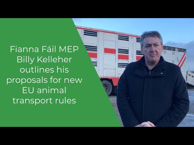 Fianna Fáil MEP Billy Kelleher outlines his proposals for new EU animal transport rules