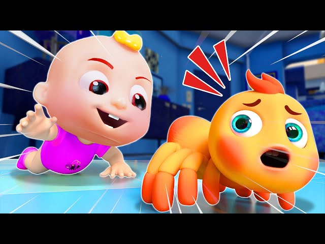 Itsy Bitsy Spider 🕷️| Baby Born Song 👶|  Nursery Rhymes | CoComelon Kids Songs