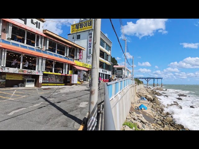 8K Insta X4 VR 360 Busan South Korea Windy Day (No Lens + Settings) Part 2