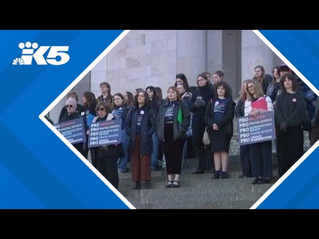 Pro-choice advocates rally in Washington, push for reproductive rights bill