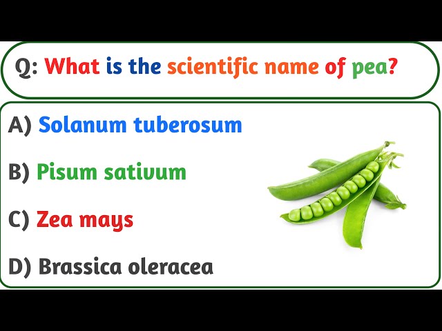 "Top 20 GK Questions and Answers | General Knowledge Quiz 2025 | Competitive Exams & Interviews"🧐🧐