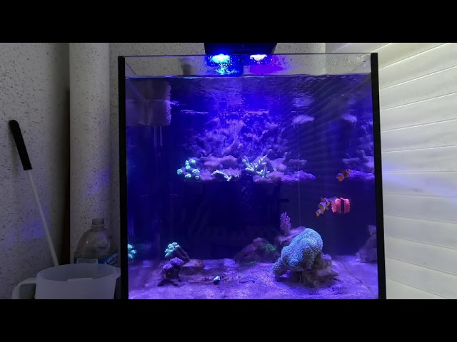 [VR180 3D] Nano Reef tank