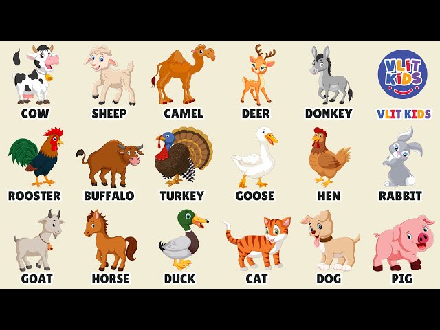 Learn Animal Names and Sounds | Fun Livestock Recognition for Kids in English