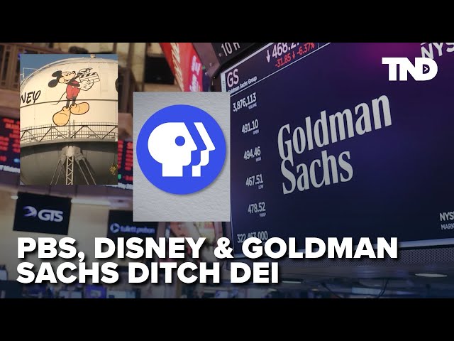 Goldman Sachs, PBS & Disney roll back DEI programs as Trump works to root out DEI in government