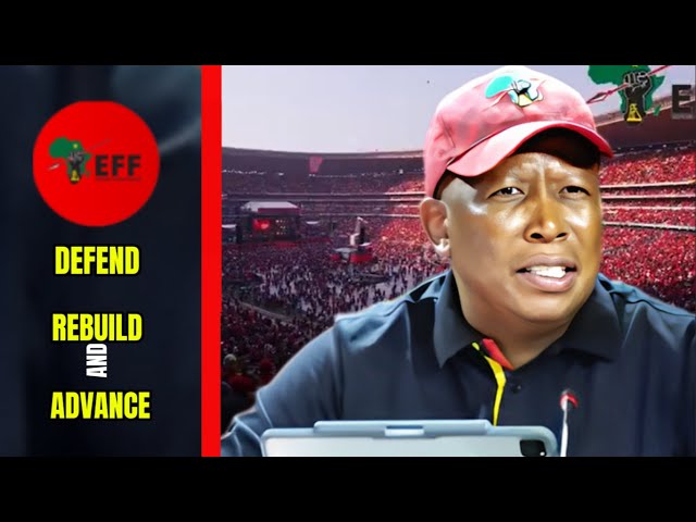 You've never heared Julius Malema Speak like this before | EFF | LITSEMBA MEDIA