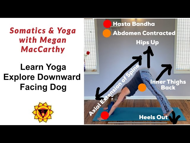 Learn Yoga, Downward Facing Dog