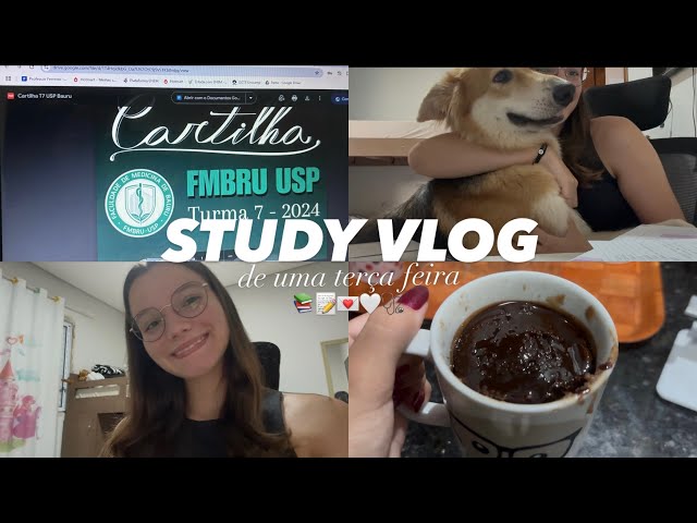 study vlog | uma terça-feira de estudos 📚