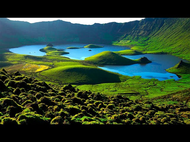 Europe´s Wild Islands- National Geographic Documentary HD