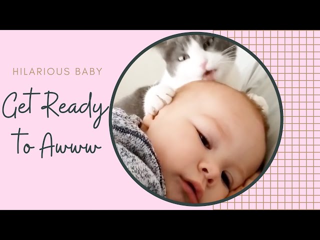 Funny Moments Of Baby And Cats - Hilarious Baby