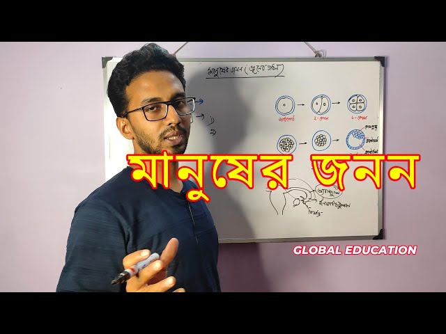 🌟মানুষের জনন, ভ্রূণের গঠন।।  দ্বাদশ শ্রেণি// Birth of Human: Embryo Development Journey #education