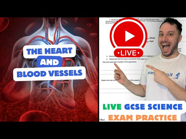 The Heart LIVE STREAM for GRADE 9