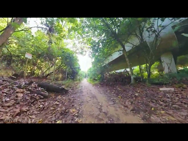 Mandai T15 Trail to Chestnut Nature Park Singapore