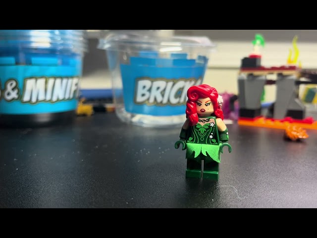 Top 25 Lego minifigures I got during 2024