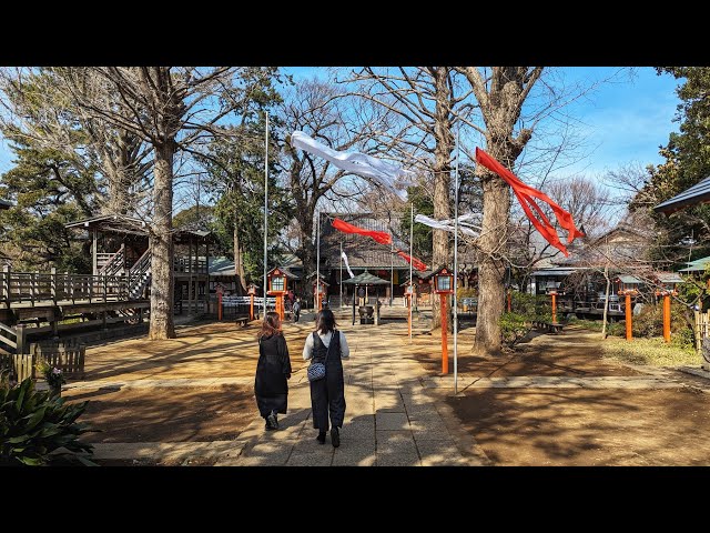 Live Tokyo Morning Walk