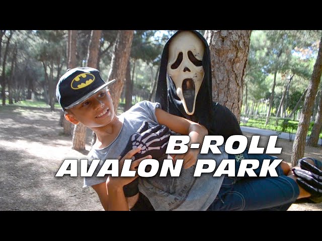 B ROLL • AVALON PARK [2020] • Fingerpies