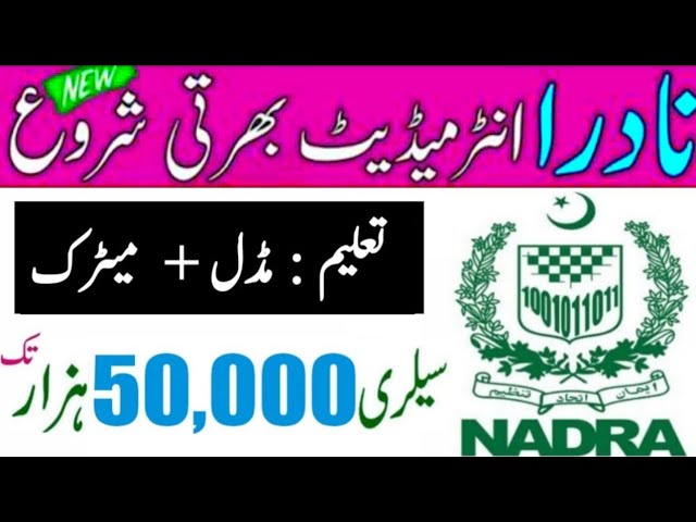 nadra driver job 2025 | how to online apply | how to apply govt jobs online 2025