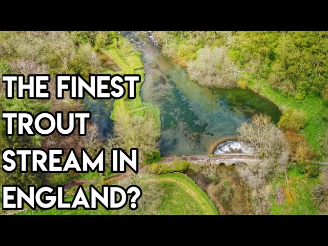 Fly Fishing For Wild Trout In CRYSTAL CLEAR Water - Dukes Beat, River Lathkill