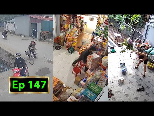 Hài Tin Việt 2025 Mới Nhất || Những Thằng Nguy Hiểm Ngu Nhất Hành Tinh Phần 147.