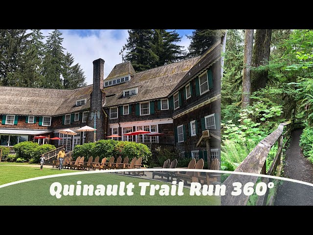 Quinault Lodge Trail Run || 360º VR 4K