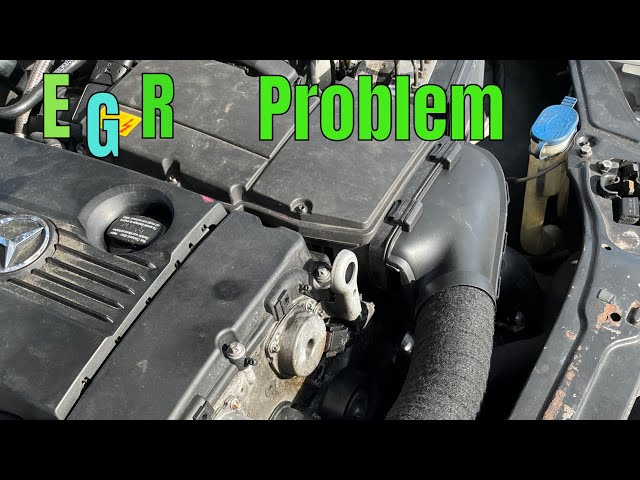 Exhaust Gas Recirculation Egr Problem