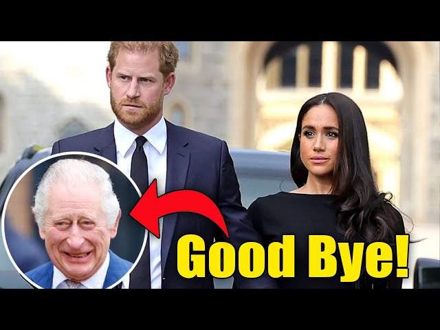 Unveiling the Royal Website Blunder: Prince Harry's Title Removal Finally Exposed!