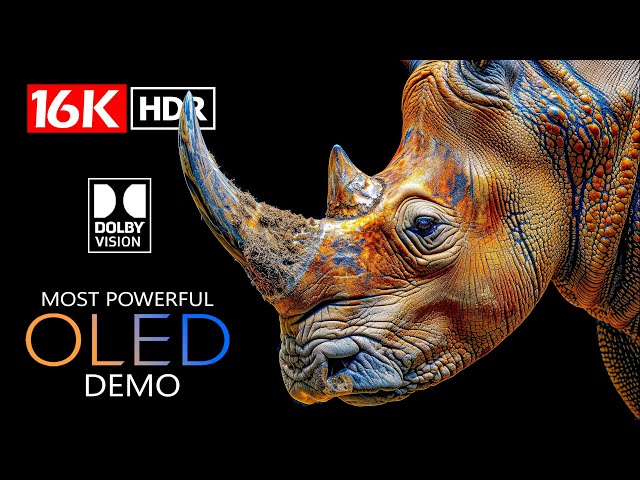 MOST POWERFUL OLED 16K HDR Video ULTRA HD Dolby Vision