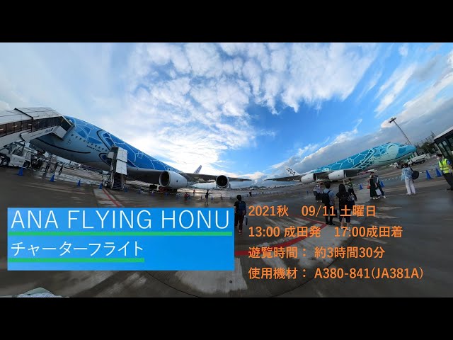 《360°動画》ANA FLYING HONU チャータフライト降機から駐機2機の様子 2021/9/11