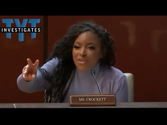 Jasmine Crockett Obliterates Maga Cronies