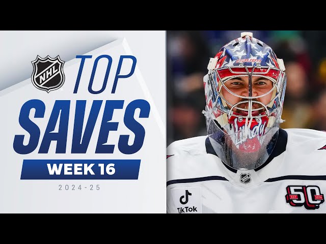 Top NHL Saves of Week 16 | 2024-25 Highlights