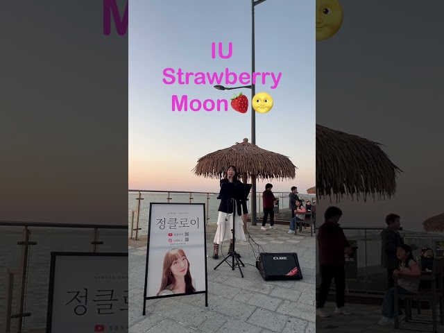 [버스킹] Strawberry Moon - IU (아이유 커버)