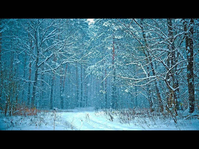 Strong Wind & Snow Sounds Boost Your Brain Activities, Improves Focus & Helps You Think More Deeply