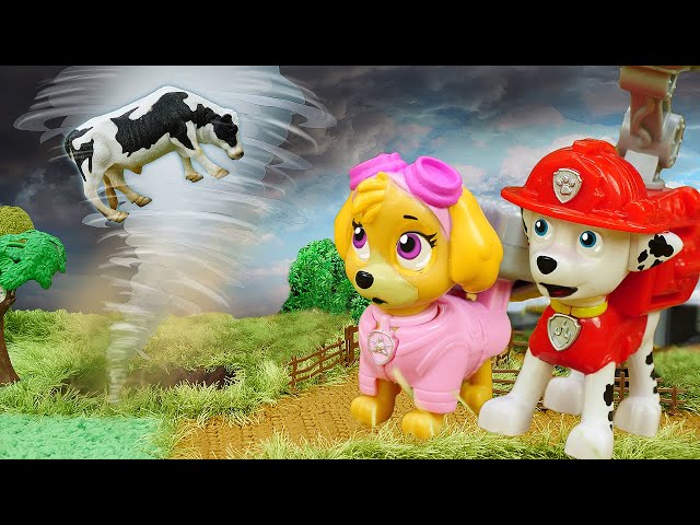 Kids video. Paw Patrol toys on the farm. Toys videos for children