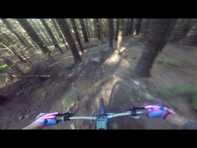 Scottish Enduro Series Round 4 Stage 2 Inners  Innerleithen