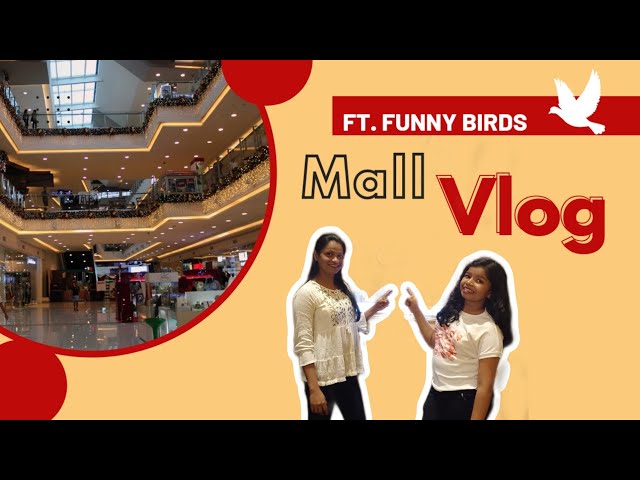 #3 Vlog  | funny | watch now what happened with us | Funny birds