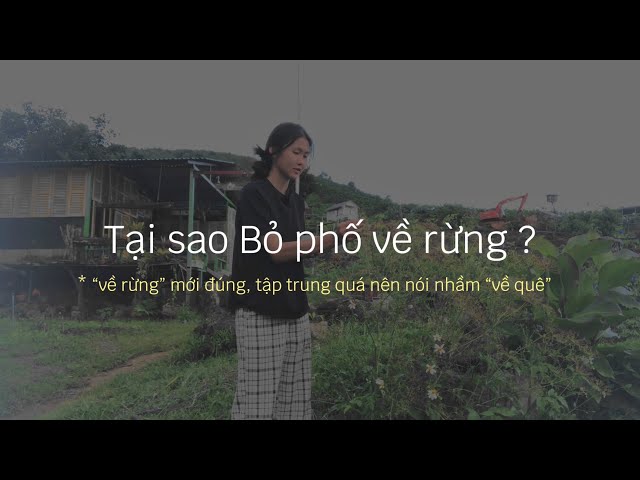 Bỏ phố về rừng