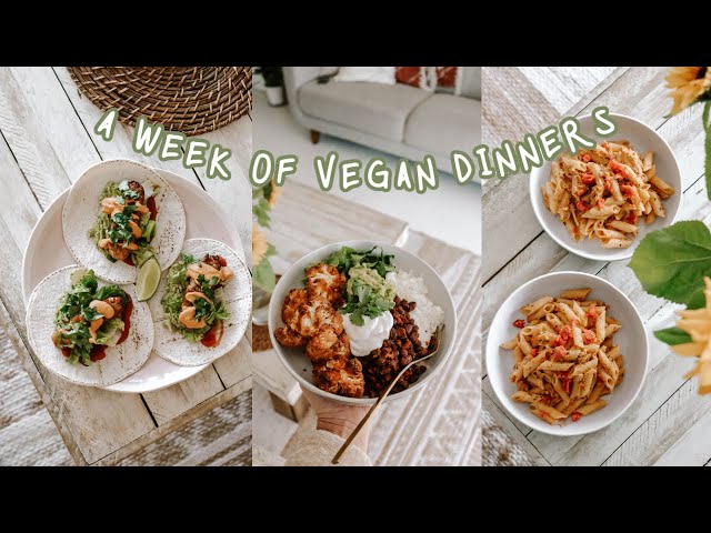 A WEEK OF VEGAN DINNERS // easy & delicious recipes 🧚‍♀️🍜🍴