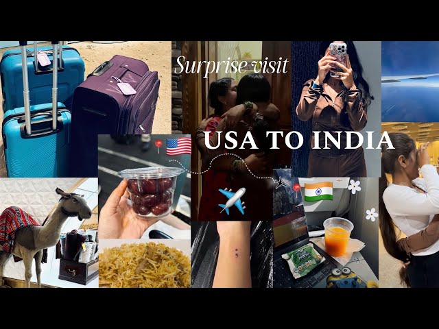 USA 🇺🇸 to India 🇮🇳 Travelling alone | surprise visit | Travel vlog | USA Telugu Vlogs | Bunnymaybe