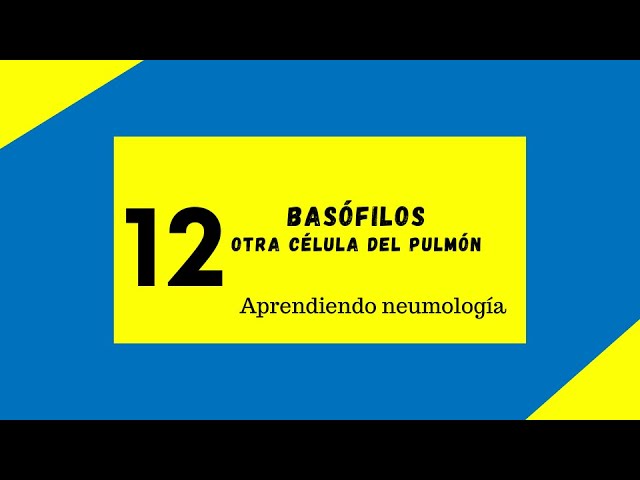 Basófilos otras células del pulmón