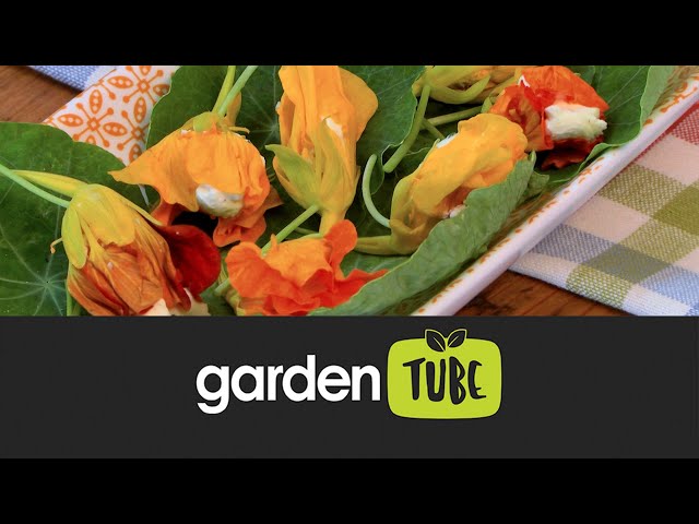 Ways To Use Nasturtiums In Cooking