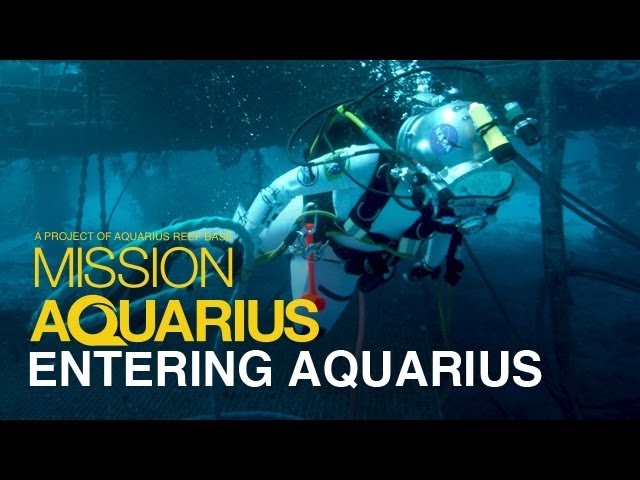 ENTERING AQUARIUS - Undersea Laboratory Tour