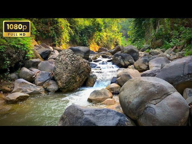 Relaxing River Sounds | Nature’s White Noise for Deep Sleep, Meditation & Focus