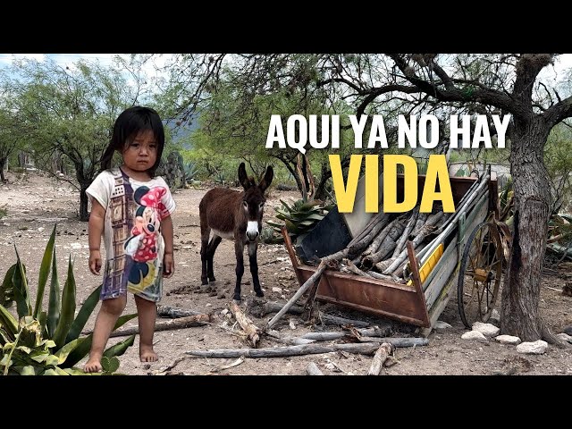 "EL RANCHO SE ESTA QUEDANDO SOLO, LA GENTE SE VA A TRABAJAR A LAS CIUDADES"