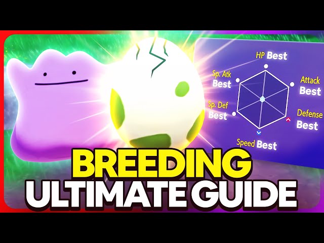 ULTIMATE Breeding Guide: Perfect IVs, Natures, Egg Moves, Hidden Ability | Pokemon Scarlet & Violet