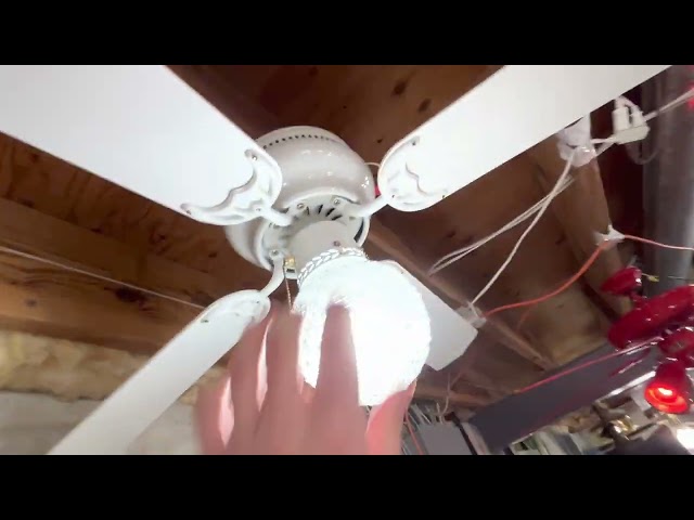 800 subscribers special ￼ceiling fan display