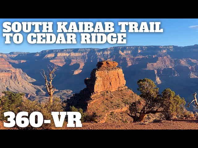 Hike South Kaibab Trail to Cedar Ridge - 360° VR Video