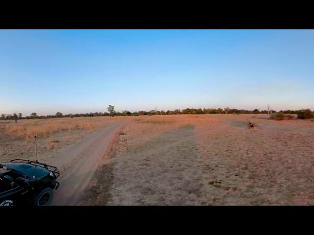 360 Video of Shenton Safaris - Mwamba Bush Camp, Zambia