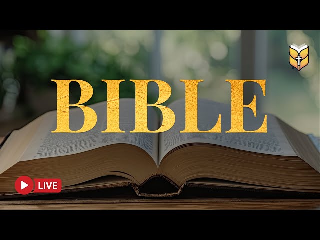 BIBLE New International Version | 🔴 Live 24/7